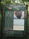 Tökür-forrás és Tükör-forrási barlang (Tata) látnivaló fényképe
