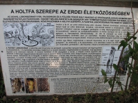 látnivaló címképe