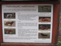 látnivaló címképe