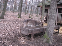 látnivaló címképe