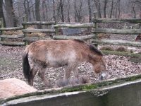 látnivaló címképe