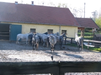 látnivaló címképe