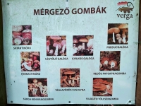 látnivaló címképe