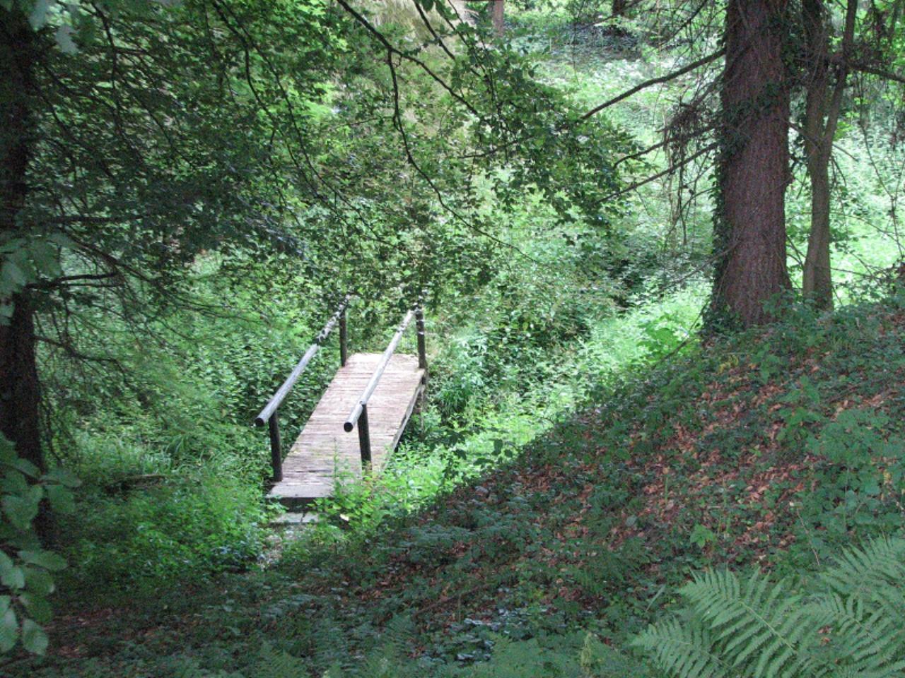 Agostyáni Arborétum nevü látnivaló 12. számú fényképe