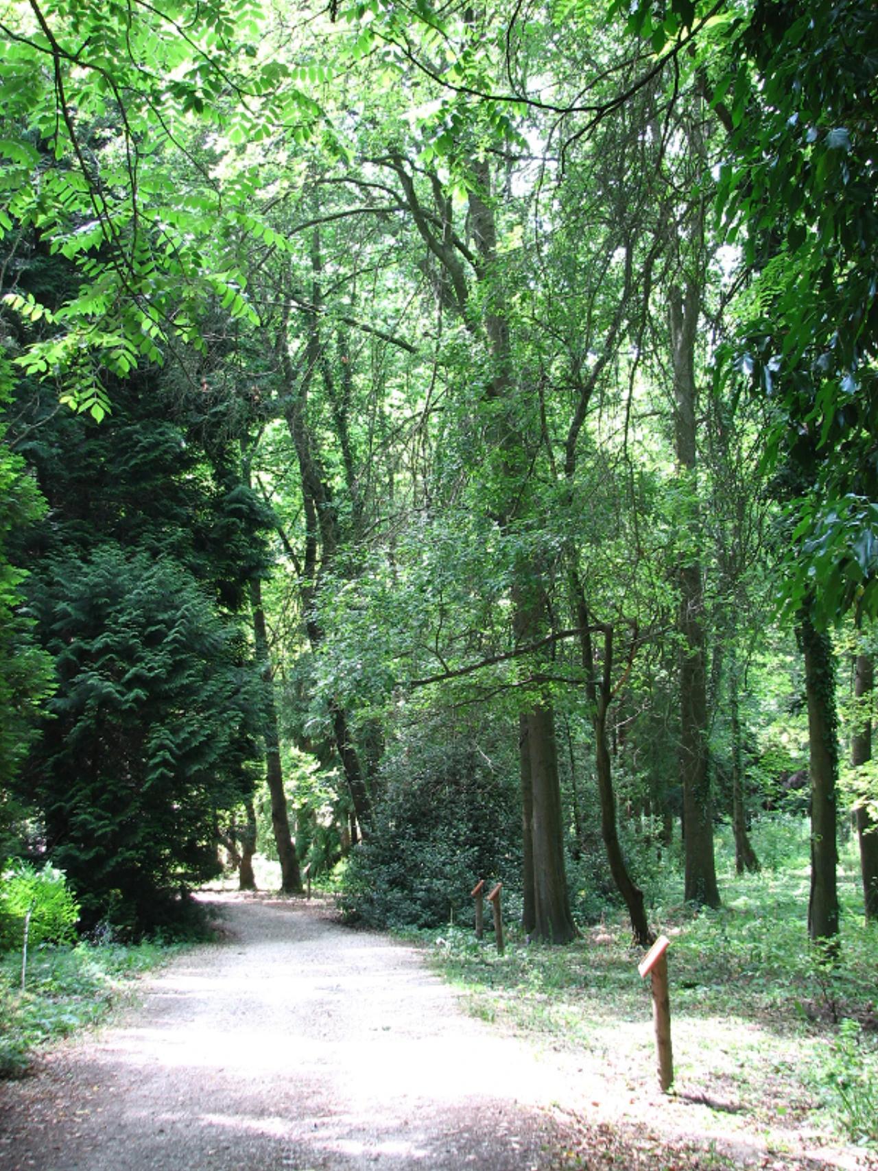 Agostyáni Arborétum nevü látnivaló 13. számú fényképe