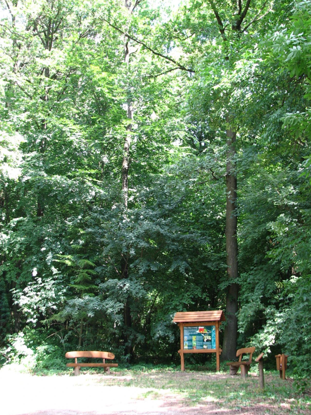 Agostyáni Arborétum nevü látnivaló 15. számú fényképe
