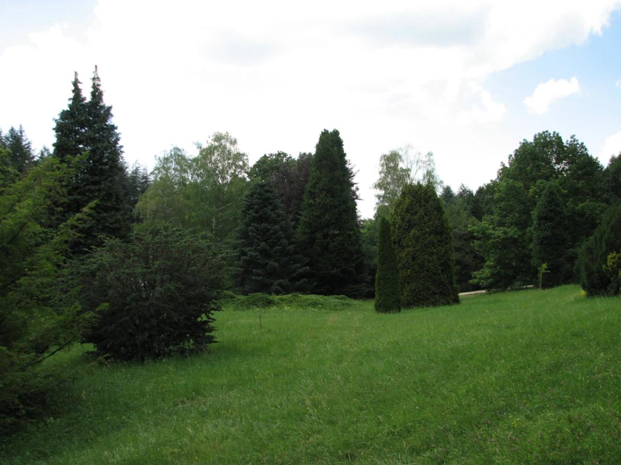 Agostyáni Arborétum nevü látnivaló 23. számú fényképe
