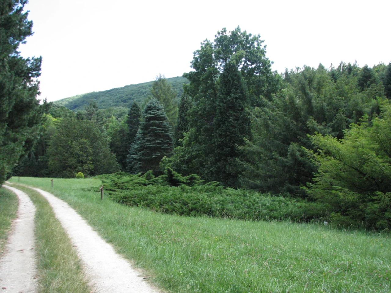 Agostyáni Arborétum nevü látnivaló 24. számú fényképe