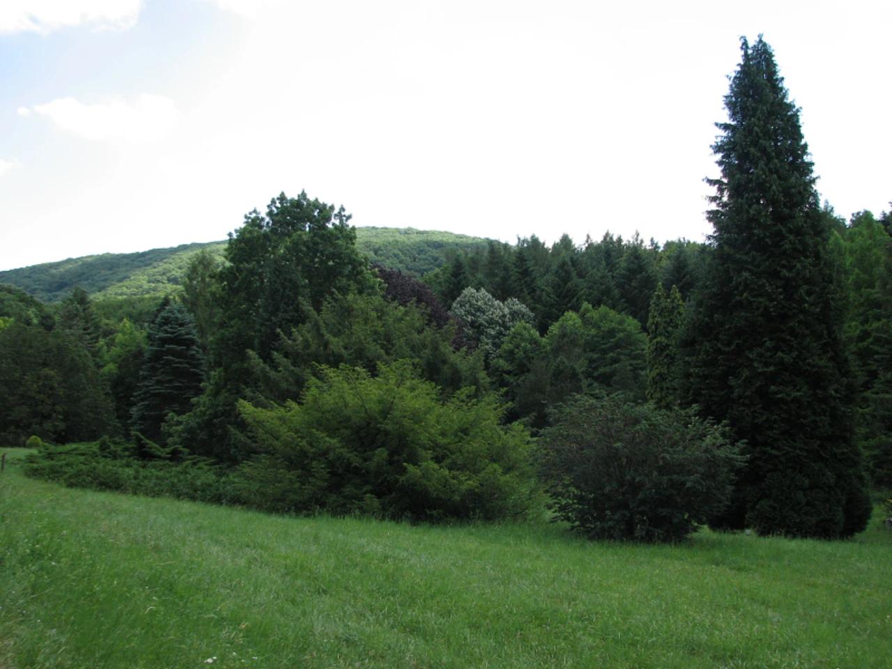Agostyáni Arborétum nevü látnivaló 26. számú fényképe