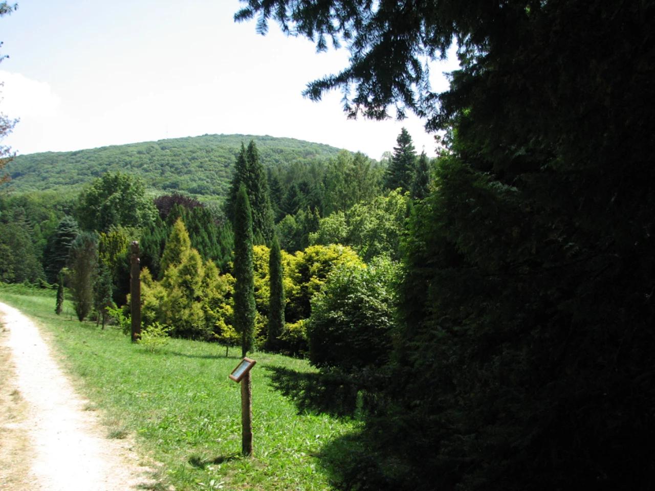 Agostyáni Arborétum nevü látnivaló 28. számú fényképe