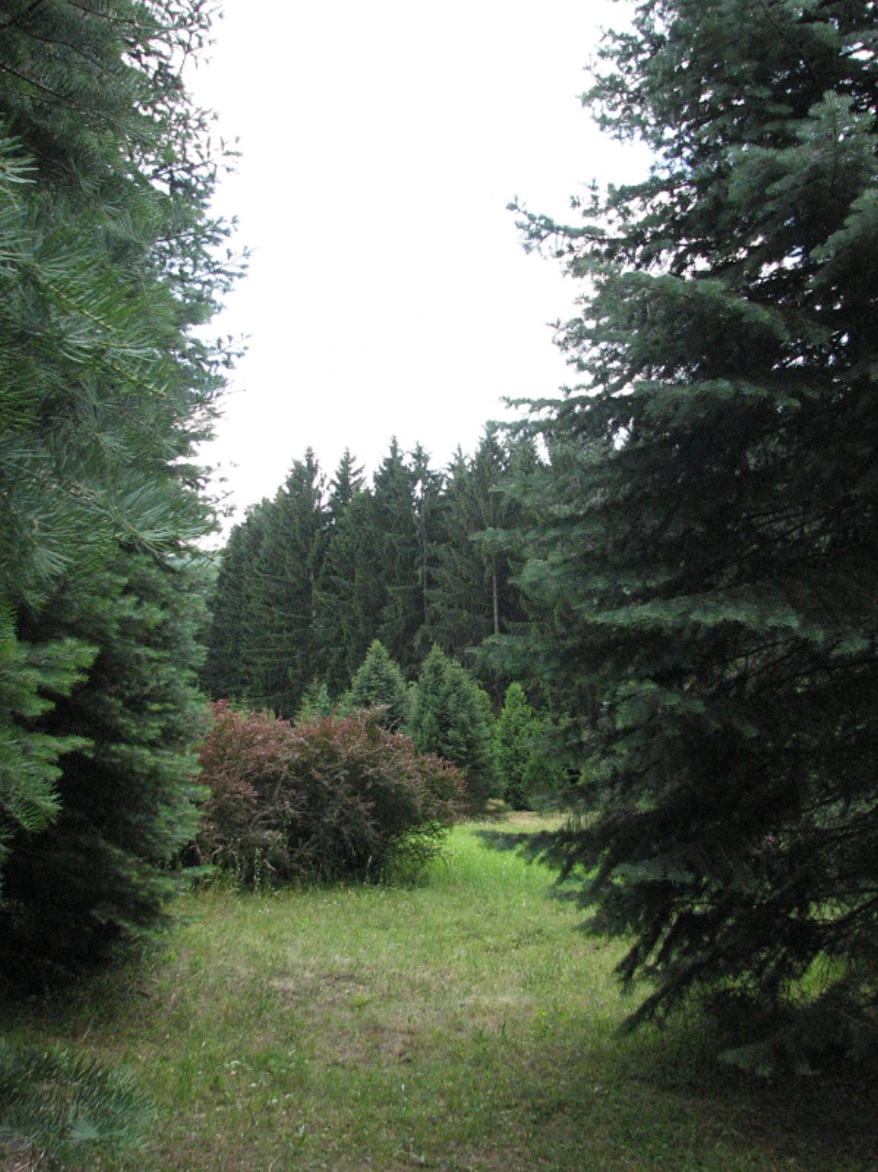 Agostyáni Arborétum nevü látnivaló 3. számú fényképe