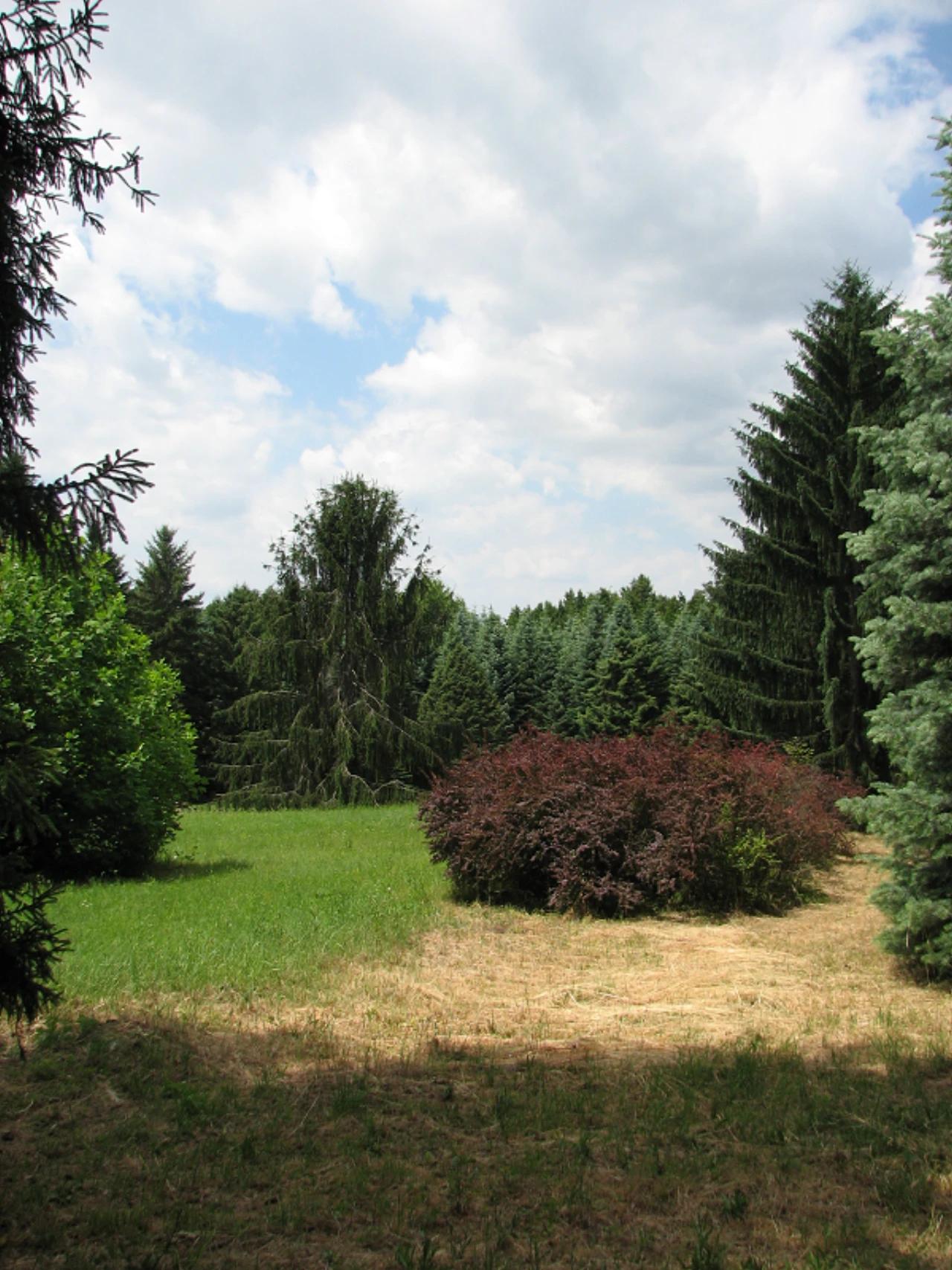 Agostyáni Arborétum nevü látnivaló 30. számú fényképe