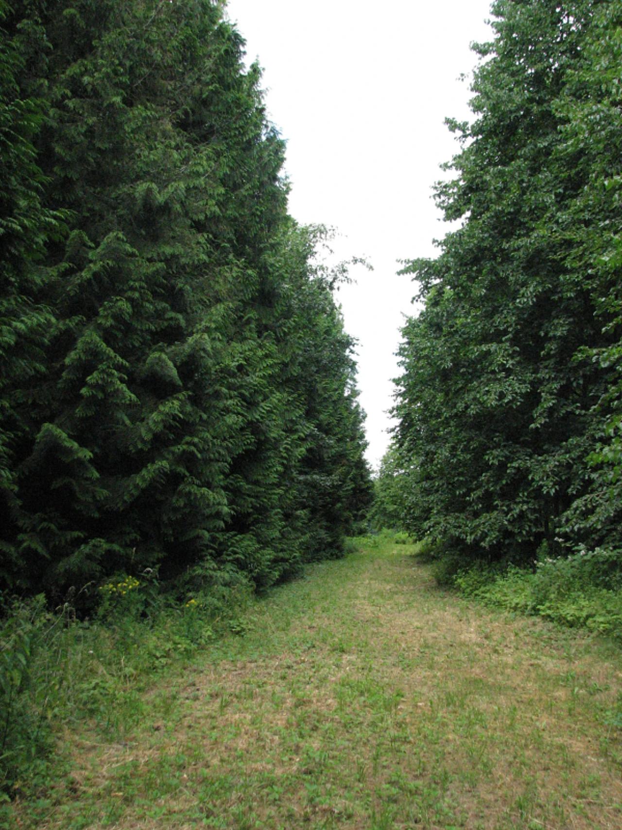 Agostyáni Arborétum nevü látnivaló 4. számú fényképe