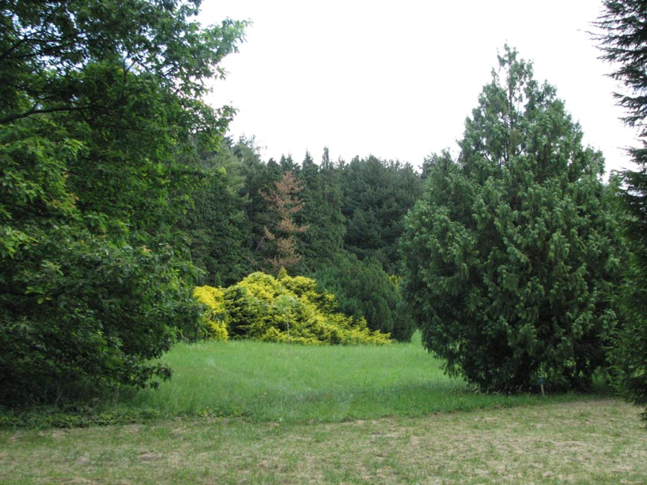 Agostyáni Arborétum nevü látnivaló 8. számú fényképe