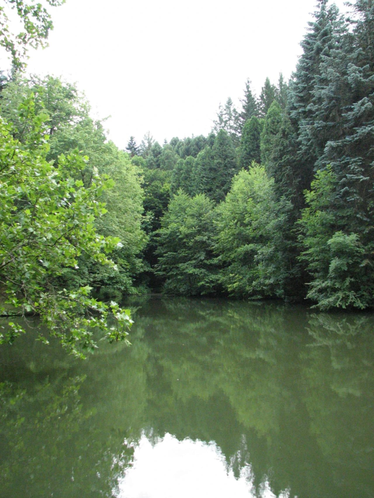 Agostyáni Arborétum nevü látnivaló 9. számú fényképe