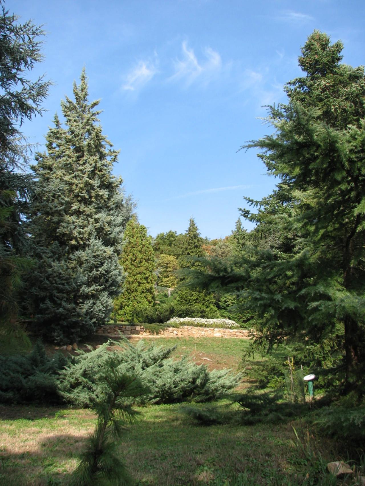 Folly Arborétum nevü látnivaló 22. számú fényképe