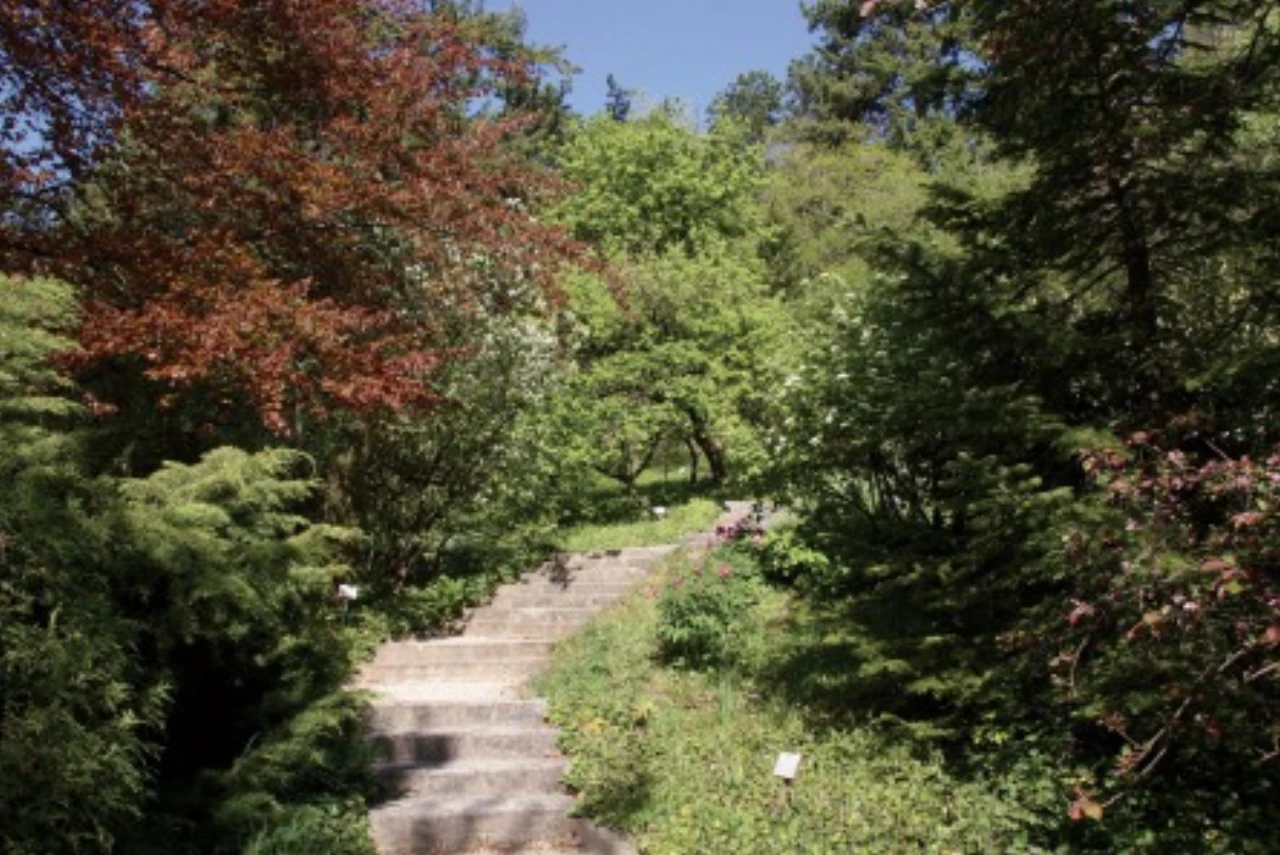Pintér-kert Arborétum nevü látnivaló 3. számú fényképe