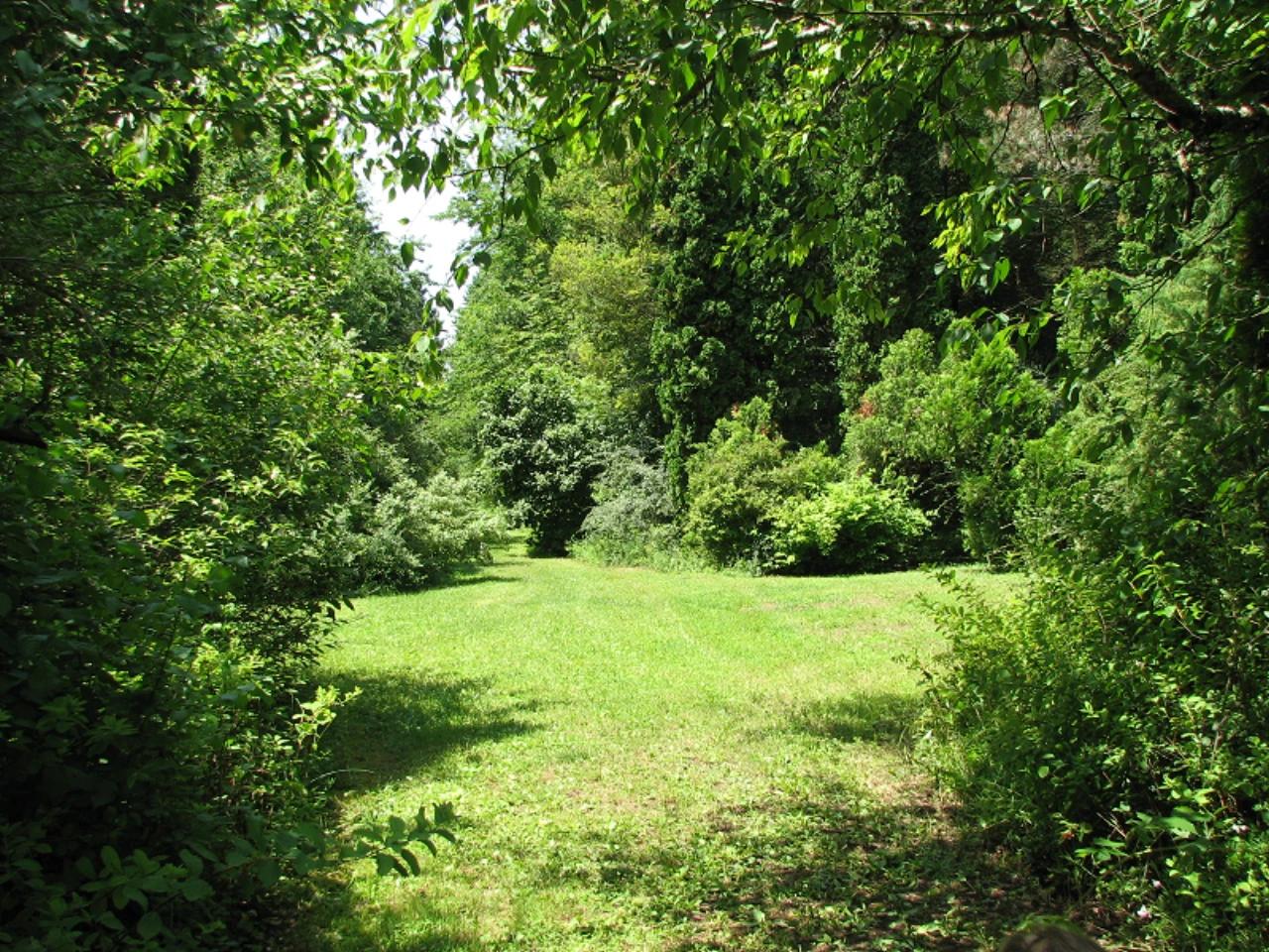 Budakeszi Erdészeti Arborétum nevü látnivaló 14. számú fényképe