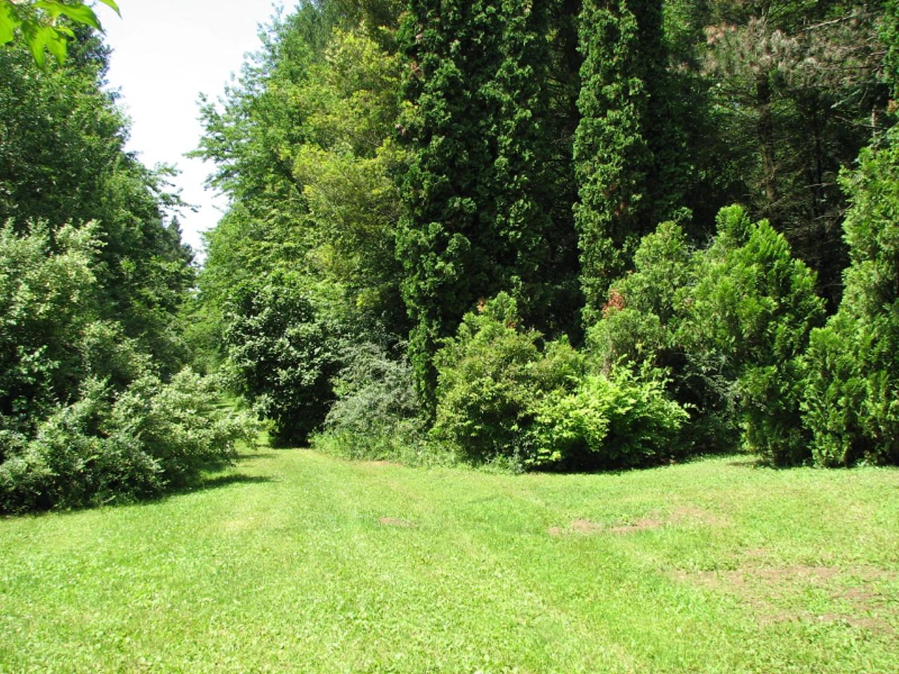 Budakeszi Erdészeti Arborétum nevü látnivaló 16. számú fényképe