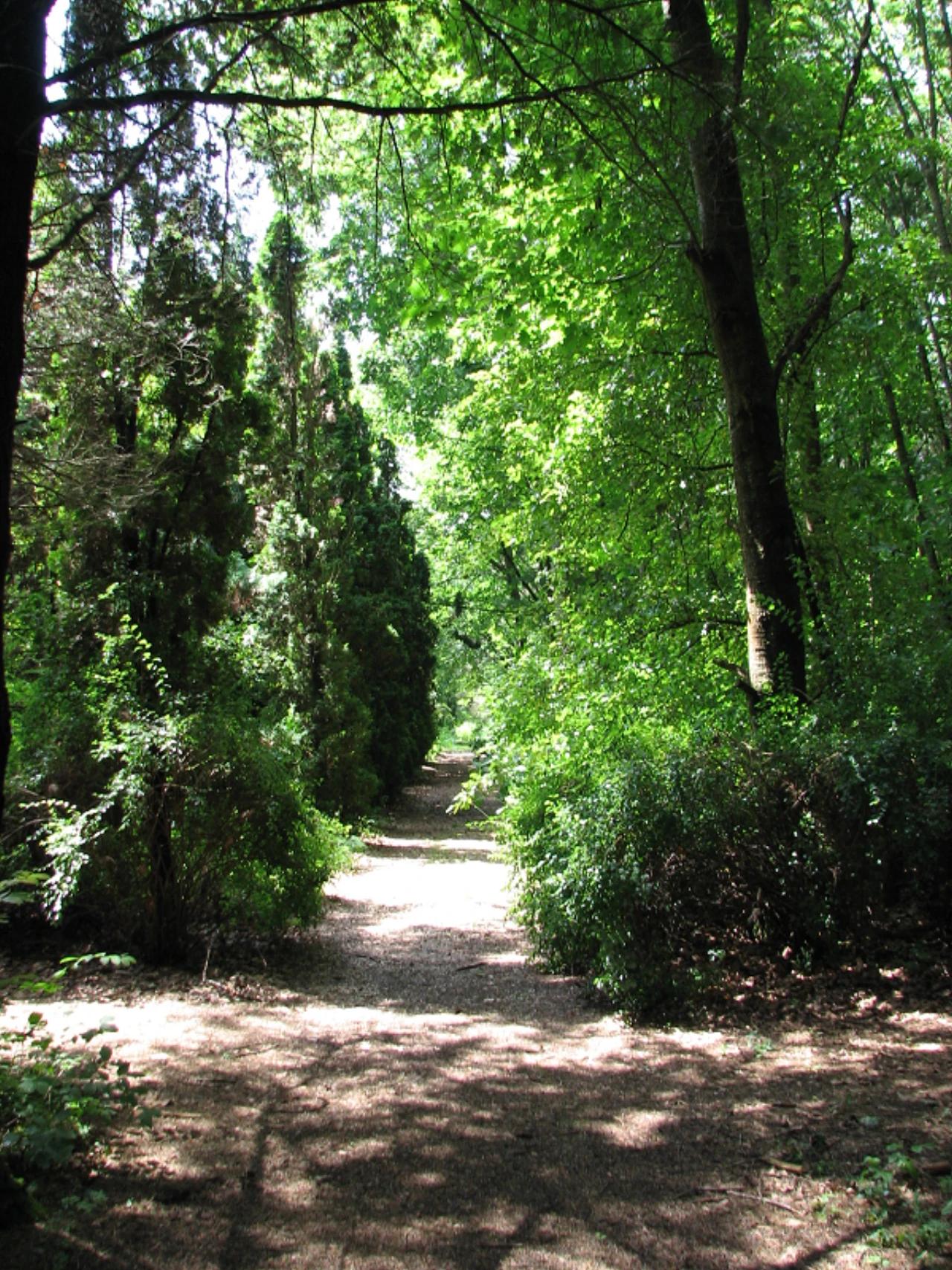 Budakeszi Erdészeti Arborétum nevü látnivaló 8. számú fényképe