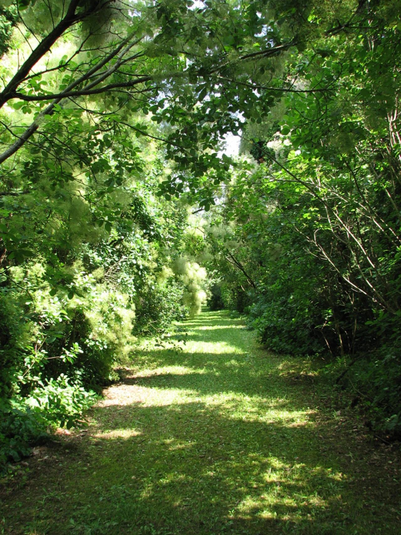Budakeszi Erdészeti Arborétum nevü látnivaló 9. számú fényképe