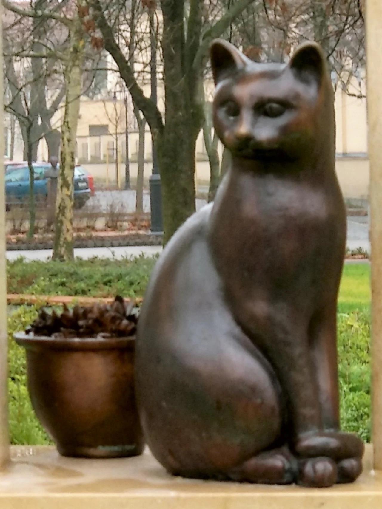 Macska szobor nevü látnivaló 2. számú fényképe