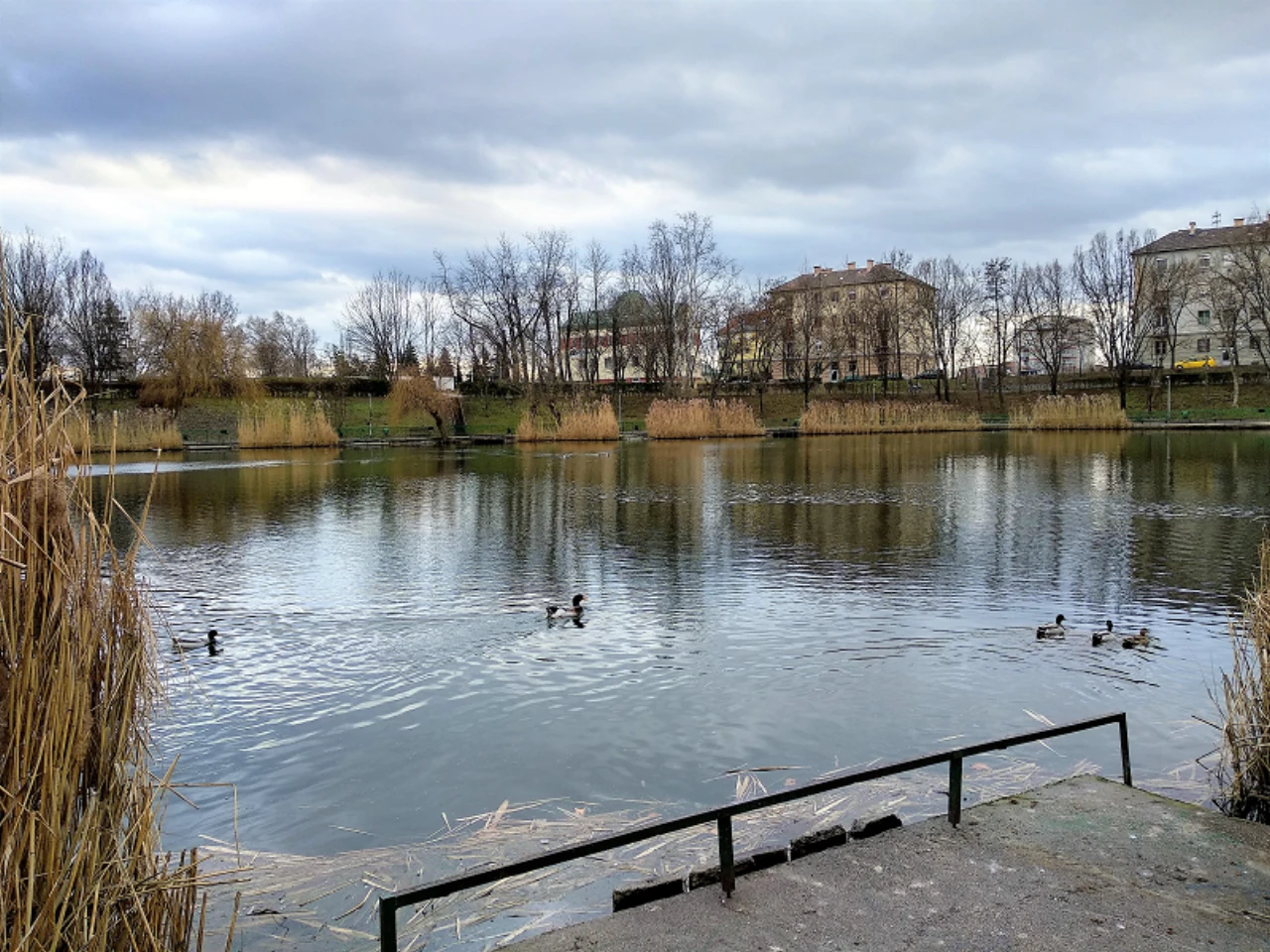 közeli látnivaló címképe