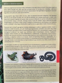 látnivaló címképe