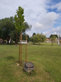 látnivaló címképe