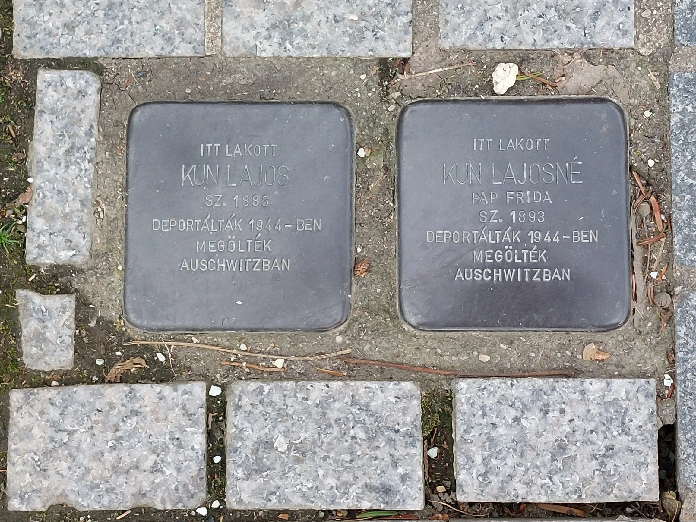 közeli látnivaló címképe